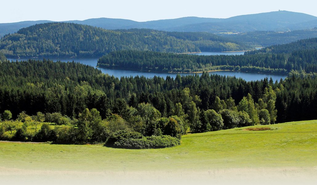 Landschaftsaufnahme der Talsperre in grüner Landschaft Talsperre & pure Natur im Erzgebirge | Region Eibenstock